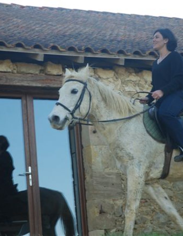 exterieur-cheval-devant-la-maison